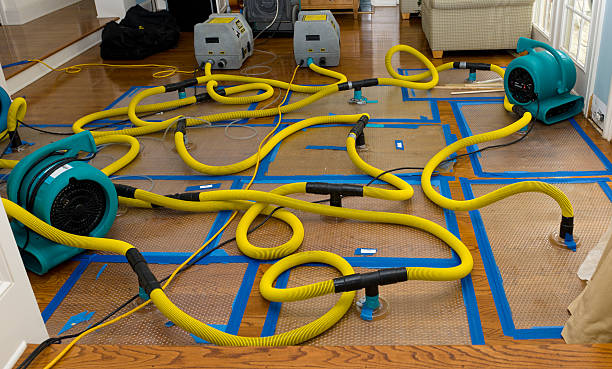 Professional Flood Damage Restoration technician working in Riverside, CT
